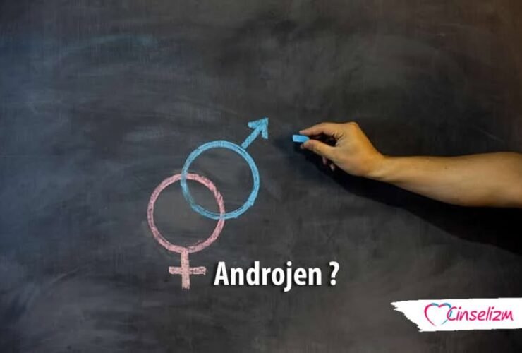 Androjen Nedir