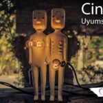 Cinsel Uyarılma Uyumsuzluğu Nedir?