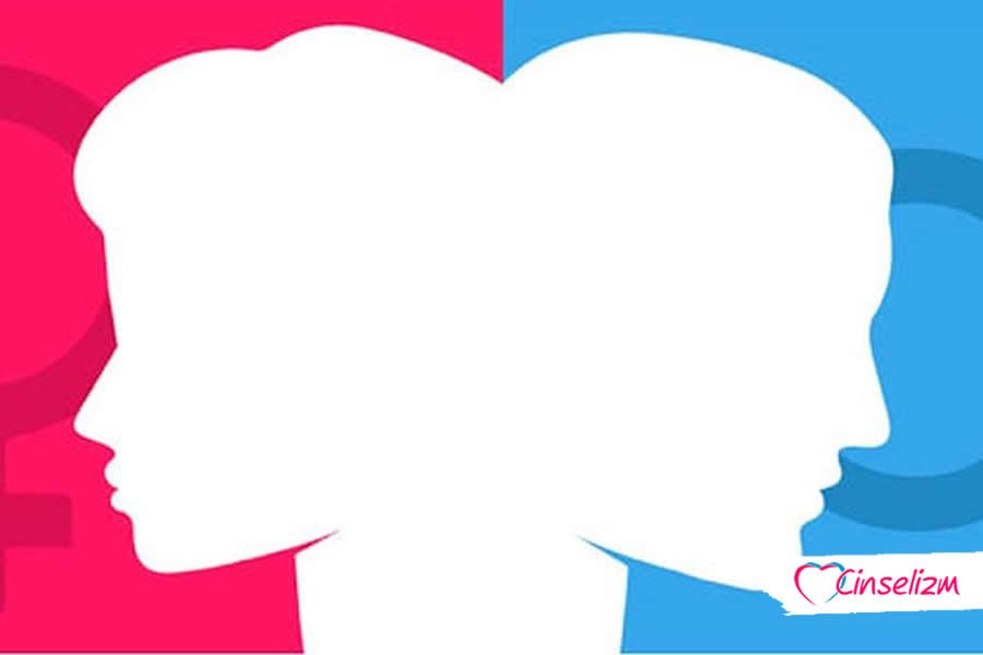 Hermafroditizm Çift Cinsiyetlilik Nedir