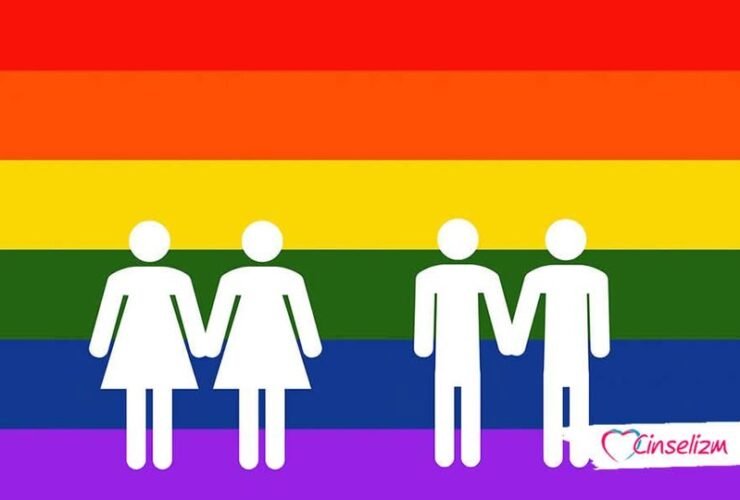Homoseksüellik Nedir