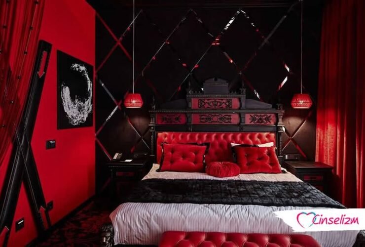 Sado Mazo (Sadism and Masochism) Nedir